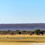 Urlaub Botswana • Chobe-Nationalpark (Sehenswürdigkeiten)